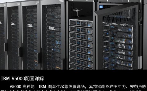 ibm v5000配置详细解析，有哪些亮点和潜在问题值得注意？