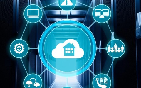 服务器选型指南，如何根据需求选择合适的服务器类型？