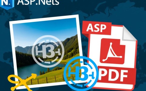 ASP.NET实现水印的多种方法与技巧探讨？