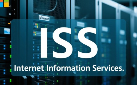 在iis身份验证配置中，如何优化身份验证策略提高网站安全性？