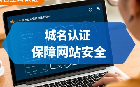 阿里云域名认证步骤详解，为何认证过程如此复杂？