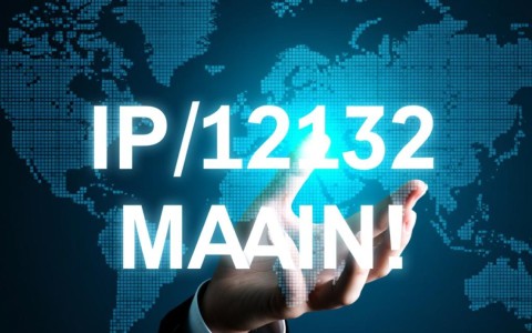 如何通过IP地址准确查询对应域名及其应用场景？