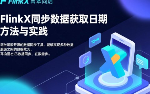 FlinkX同步数据时，如何准确获取并处理日期字段信息？