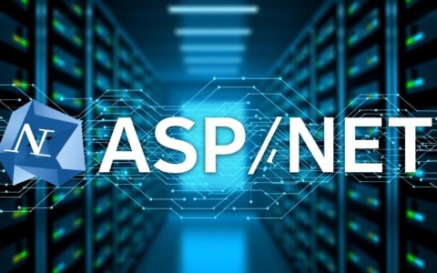 aspnet数据库，如何高效管理和优化数据库性能？