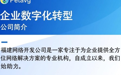 福建网络开发公司哪家技术领先？如何选择合适的合作伙伴？