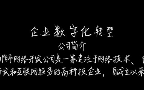 南阳市网络开发公司在行业中的地位和未来发展前景如何？