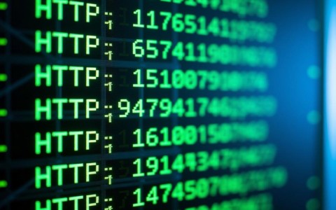 服务器状态码404、500等分别代表什么意思？