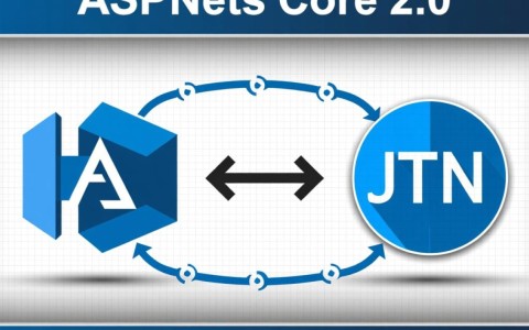 aspnet20中JSON应用究竟有何独特使用技巧？揭秘高效集成与优化之道！