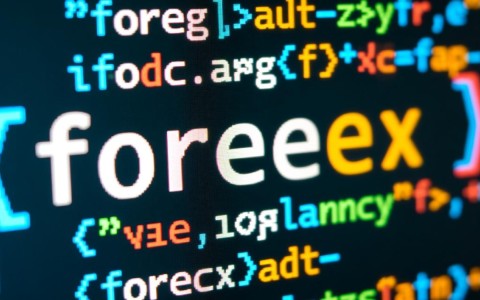 为什么foreach循环在显示数据库内容时突然失效了？原因是什么？