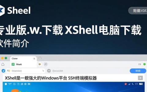 Xshell专业版电脑下载，高效安全终端工具