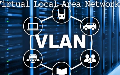 在Cisco设备上，如何使用哪些命令来查看和管理VLAN配置？