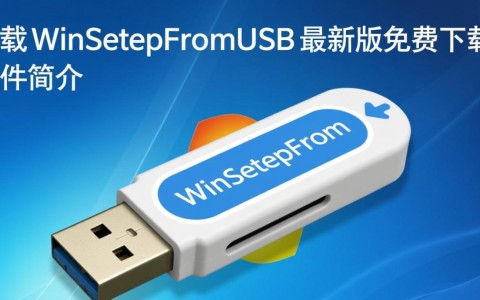 WinSetupFromUSB最新版下载