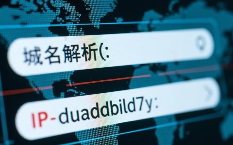 域名解析指向网址，背后原理是什么？解析过程详解揭秘！