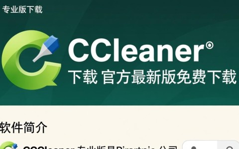 CCleaner专业版免费下载