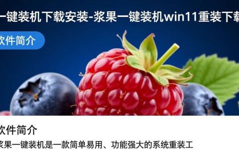浆果一键装机下载，Win11重装工具快速安装