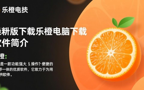 乐橙最新版电脑客户端下载