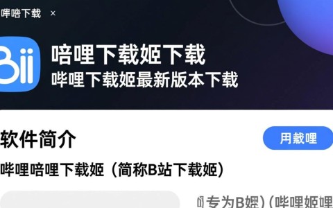 哔哩下载姬最新版下载