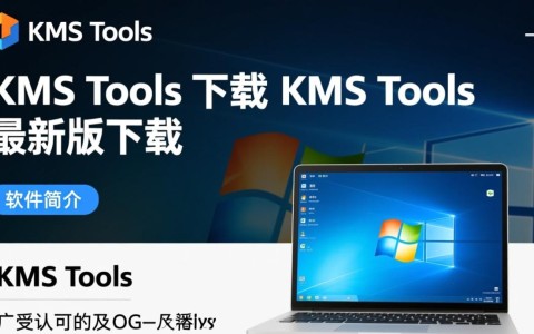 KMS Tools最新版下载，一键激活工具免费获取