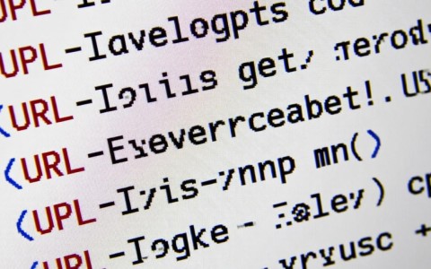 ASP.NET 2.0 URL映射，有哪些高效技巧和最佳实践值得探究？