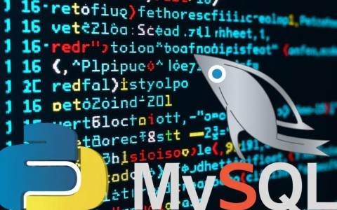 Python连接MySQL时如何确保返回查询结果的唯一ID值？