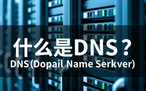 如何快速准确地查询任意域名的DNS解析记录？