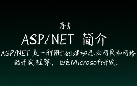 aspnet序号是什么？它在ASP.NET开发中有什么具体作用？