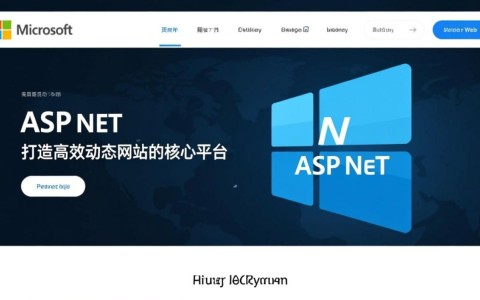 aspnet主页究竟有何独特魅力，引领开发者热议？