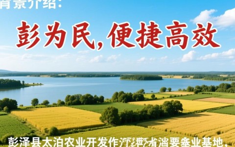 彭泽县太泊湖农业开发区移动代办点，为何选址于此？服务内容有哪些？