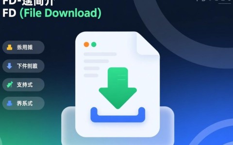 在FD系统中，究竟应该如何正确安装数字证书？