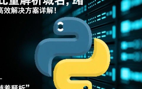 Python批量解析域名，有哪些高效方法和潜在风险需要注意？