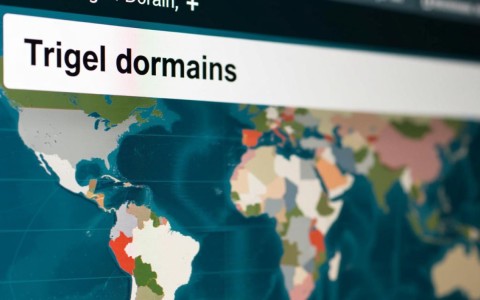 如何动态解析顶级域名？解析流程及关键技巧揭秘！