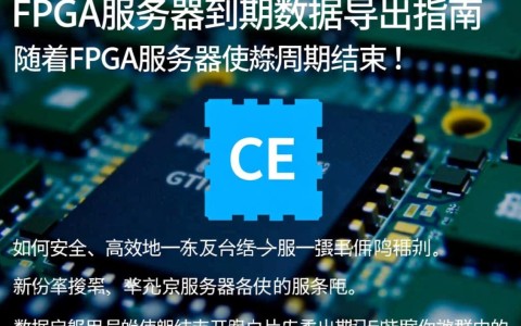 FPGA服务器到期后，如何高效安全地导出所有数据及操作步骤详解？