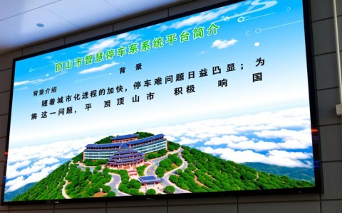 平顶山市智慧停车系统平台，为何能引领城市停车革命？
