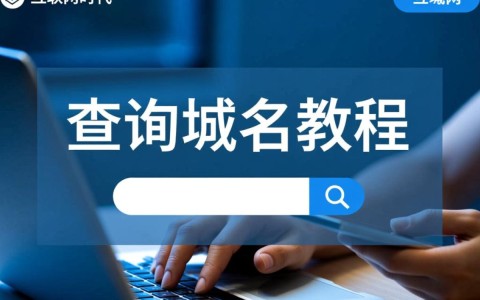 批量查询域名教程，有哪些高效实用的方法可以分享？