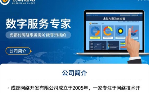 成都网络开发有限公司，揭秘其业务范围与市场定位之谜？