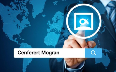 392h 最新域名究竟隐藏了哪些秘密？揭秘392h域名的背后故事！