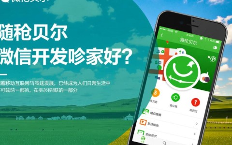 呼伦贝尔微信开发哪家值得信赖？揭秘优质服务商之谜！
