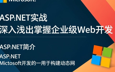 aspnet实战如何高效学习并应用ASP.NET技术，解决实际开发难题？