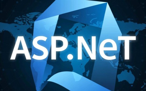 aspnet创业，如何利用ASP.NET技术打造成功的创业项目？