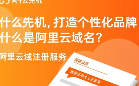 阿里云域名抢注技巧揭秘，如何快速成功抢注心仪域名？