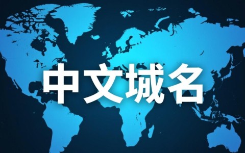 目前各大主流域名注册商是否全面支持中文域名注册？
