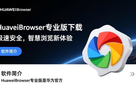 HuaweiBrowser专业版电脑端下载哪里有？