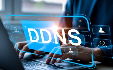 动态域名免费申请，为何如此划算？揭秘背后隐藏的优惠真相！