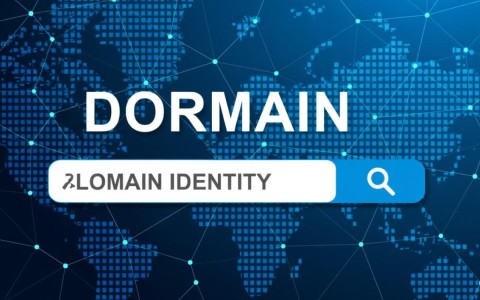 批量查询域名工具有哪些高效实用的功能特点？如何选择最佳工具？