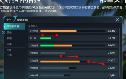 天刀配置文件中隐藏的奥秘，玩家们为何如此困惑？