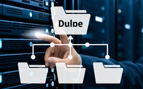 服务器根目录是哪个？新手必看路径解析指南