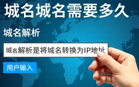 解析域名解除操作全程需要多长时间？不同情况有何差异？