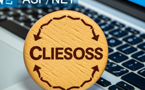 ASP.NET环境下，为何Cookies会丢失且出现中文乱码问题？原因及解决方案是什么？