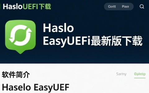 Hasleo EasyUEFI最新版下载在哪里找？安全吗？