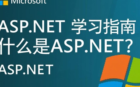 aspnet学习，如何高效掌握ASP.NET开发，避免常见误区？